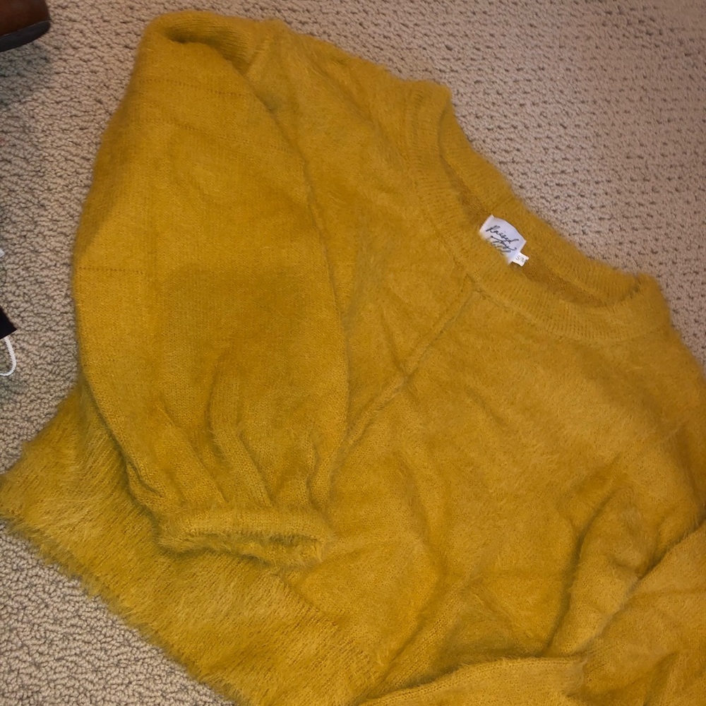 LF cropped sweater